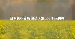 灿谷盘中异动 股价大跌5.07%报3.93美元