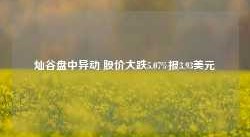 灿谷盘中异动 股价大跌5.07%报3.93美元