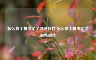 怎么查手机绑定了哪些软件,怎么查手机绑定了哪些软件