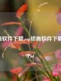 csp绘画软件下载,csp绘画软件下载 官方iPad