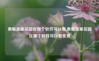 泰版流星花园在哪个软件可以看,泰版流星花园在哪个软件可以看免费