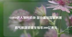 COP29进入加时阶段 部分富裕国家同意将气候融资提至每年3000亿美元