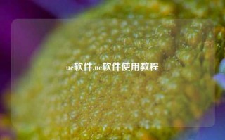 ue软件,ue软件使用教程