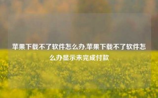 苹果下载不了软件怎么办,苹果下载不了软件怎么办显示未完成付款