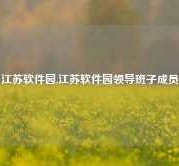 江苏软件园,江苏软件园领导班子成员