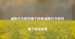 减肥打卡软件哪个好用,减肥打卡软件哪个好用免费