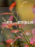 caxa软件,caxa软件怎么样