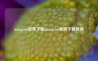 instagram软件下载,instagram软件下载教程