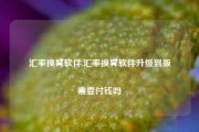 汇率换算软件,汇率换算软件升级到版需要付钱吗