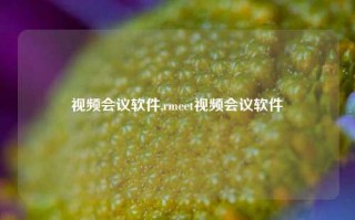 视频会议软件,rmeet视频会议软件