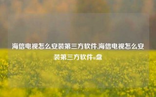 海信电视怎么安装第三方软件,海信电视怎么安装第三方软件u盘