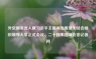 外交部发言人就习近平主席将出席亚太经合组织领导人非正式会议、二十国集团峰会答记者问