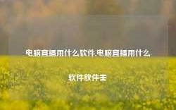 电脑直播用什么软件,电脑直播用什么软件放伴奏