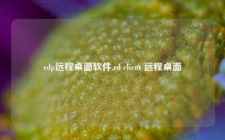 rdp远程桌面软件,rd client 远程桌面