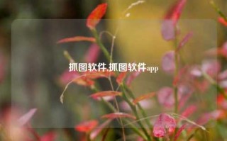 抓图软件,抓图软件app