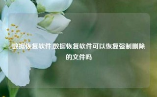 数据恢复软件,数据恢复软件可以恢复强制删除的文件吗