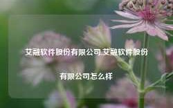 艾融软件股份有限公司,艾融软件股份有限公司怎么样