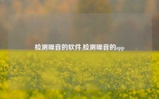 检测噪音的软件,检测噪音的app