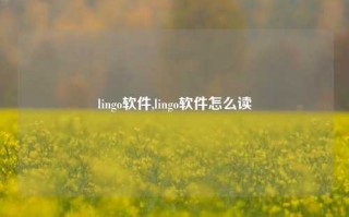 lingo软件,lingo软件怎么读