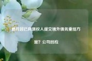 碧桂园已向债权人提交境外债务重组方案？公司回应