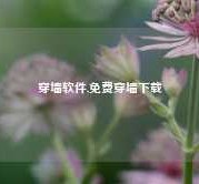 穿墙软件,免费穿墙下载