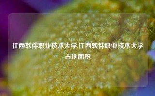 江西软件职业技术大学,江西软件职业技术大学占地面积