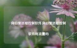 向日葵远程控制软件,向日葵远程控制软件耗流量吗