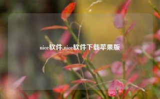 nice软件,nice软件下载苹果版