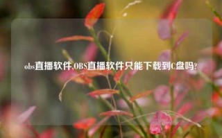 obs直播软件,OBS直播软件只能下载到C盘吗?