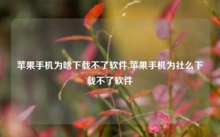 苹果手机为啥下载不了软件,苹果手机为社么下载不了软件