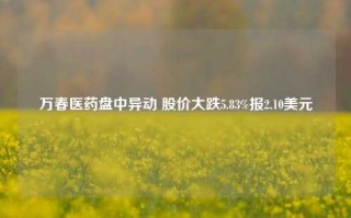 万春医药盘中异动 股价大跌5.83%报2.10美元