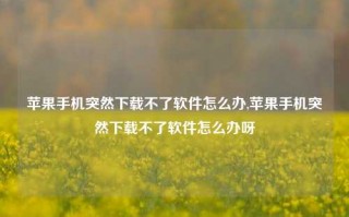 苹果手机突然下载不了软件怎么办,苹果手机突然下载不了软件怎么办呀