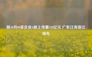 前10月80家企业A股上市募528亿元 广东江苏浙江领先