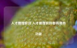 人才管理软件,人才管理软件都有哪些功能