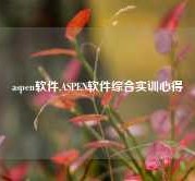 aspen软件,ASPEN软件综合实训心得