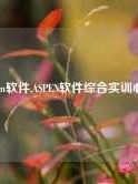 aspen软件,ASPEN软件综合实训心得