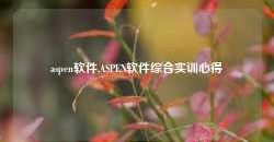 aspen软件,ASPEN软件综合实训心得