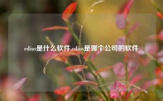 edius是什么软件,edius是哪个公司的软件