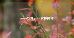 pvsyst软件,pvsyst软件简介