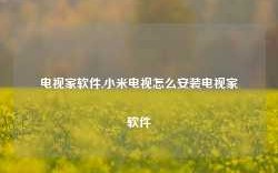 电视家软件,小米电视怎么安装电视家软件