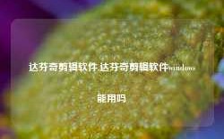 达芬奇剪辑软件,达芬奇剪辑软件windows能用吗