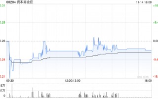 资本界金控完成配售1.73亿股 净筹约3980万港元