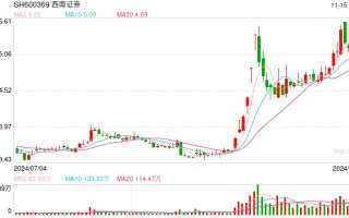 姜栋林当选西南证券董事长 接替因退休离任的吴坚