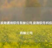 浪潮通用软件有限公司,浪潮软件科技有限公司