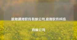 浪潮通用软件有限公司,浪潮软件科技有限公司