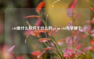 c4d是什么软件干什么的,pr ae c4d先学哪个