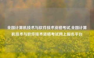 全国计算机技术与软件技术资格考试,全国计算机技术与软件技术资格考试网上报名平台