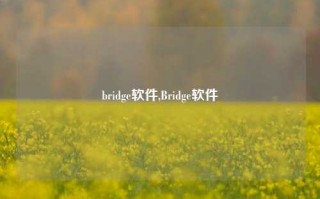 bridge软件,Bridge软件