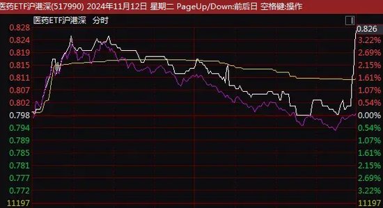 尾盘突发！这一ETF，直线拉升！-第3张图片-国津软件-十年只做一个产品!IT--系统,B--系统,IT--,ITIL！