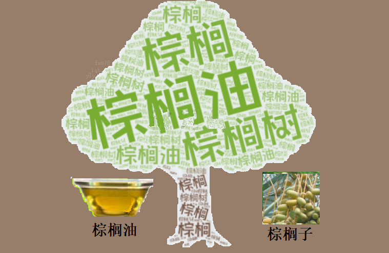 棕榈油期货分析：市场持续承压，关注需求与外部因素-第2张图片-国津软件-十年只做一个产品!IT--系统,B--系统,IT--,ITIL！